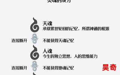 三魂之幽(免费阅读)小说全文阅读无弹窗 - 三魂之幽最新章节列表