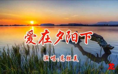 爱在夕阳下(免费阅读)小说全文阅读无弹窗 - 爱在夕阳下最新章节列表